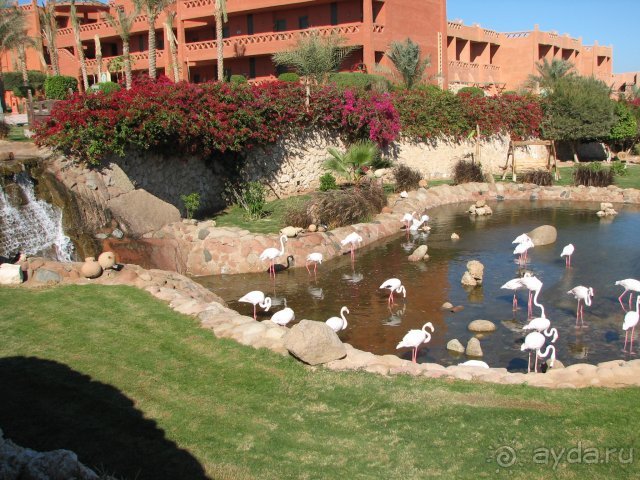 фото Hauza Beach Resort