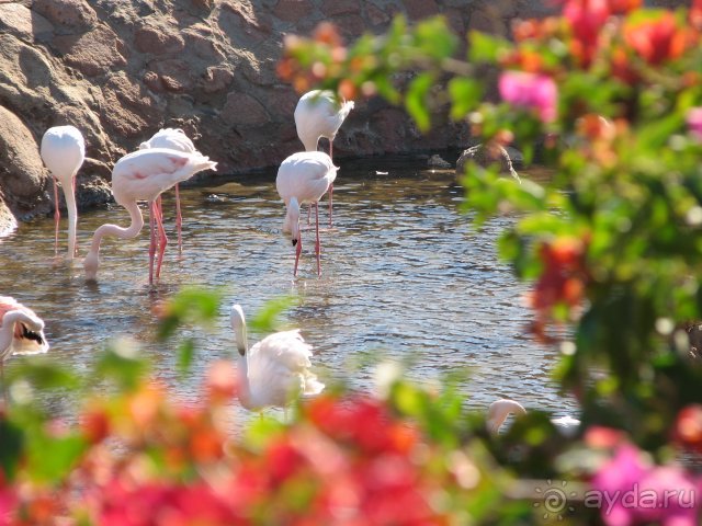 фото Hauza Beach Resort