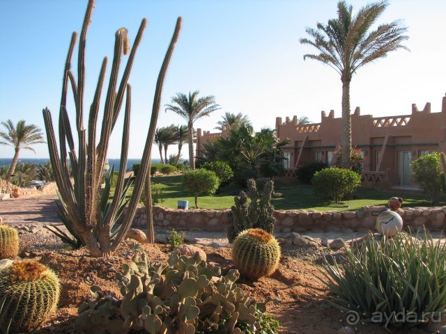 фото Hauza Beach Resort