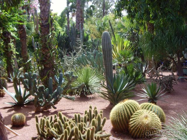 Сад Можарель