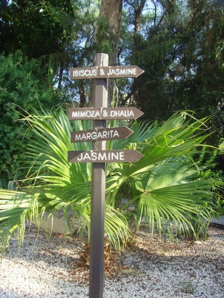 Замечательный отель! Замечательный отель!