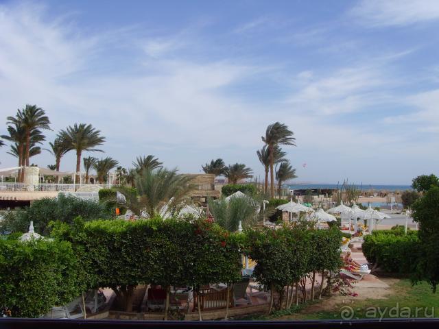 Вид из номера