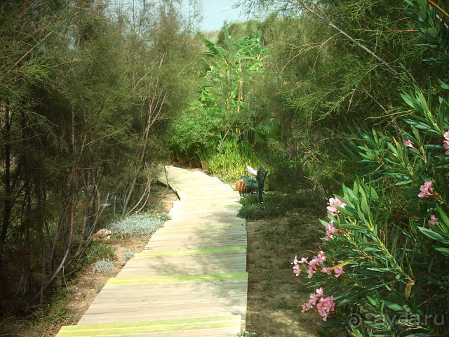 Vera Lindita: дорожка к пляжу