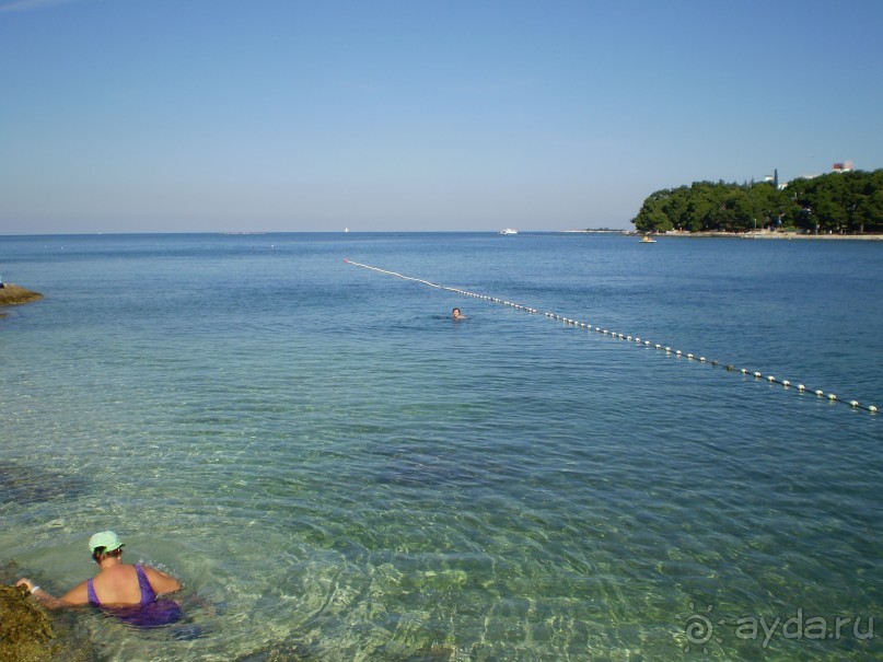 достойная четверка!