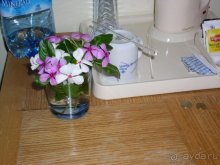 фото Hilton Sharm Waterfalls Resort