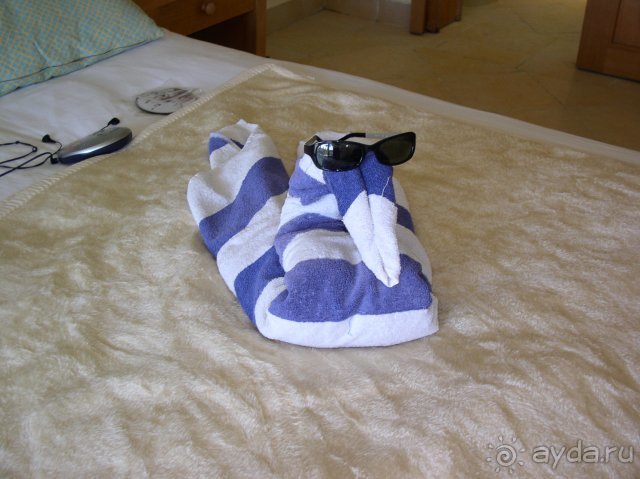 фото Hilton Sharm Waterfalls Resort