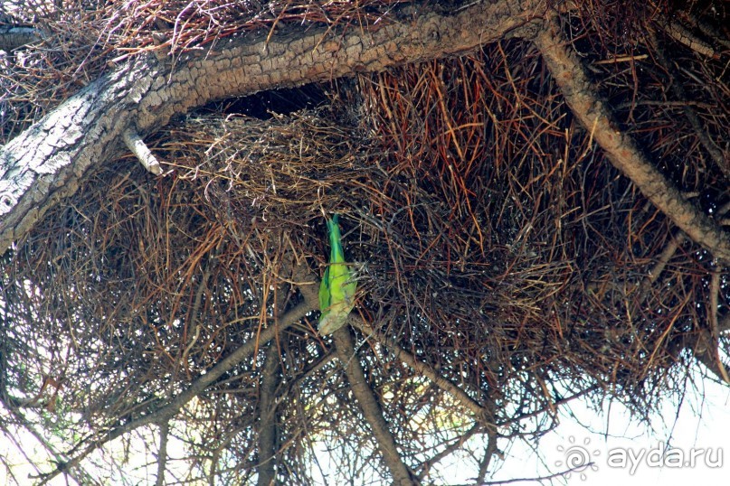 Испанская деревня 