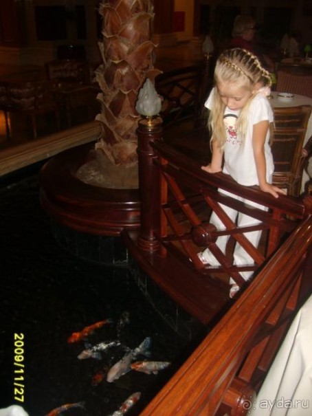 А нам отель понравился!!!