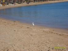 А нам отель понравился!!!