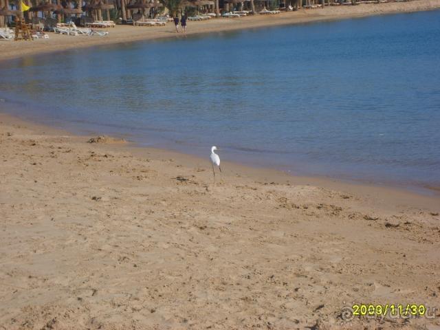 фото Andaman Hill Hotel