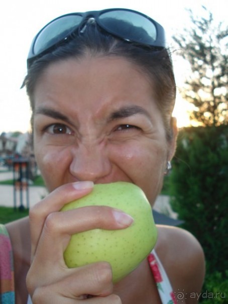 Проверка зубных протезов на турецких яблоках