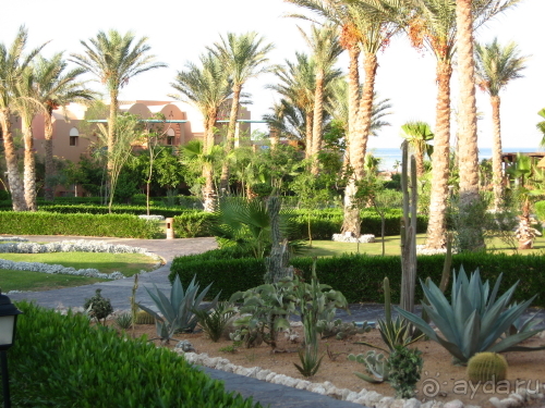 Территория клуба ML Sharm