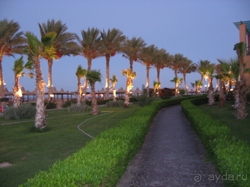 Территория клуба ML Sharm