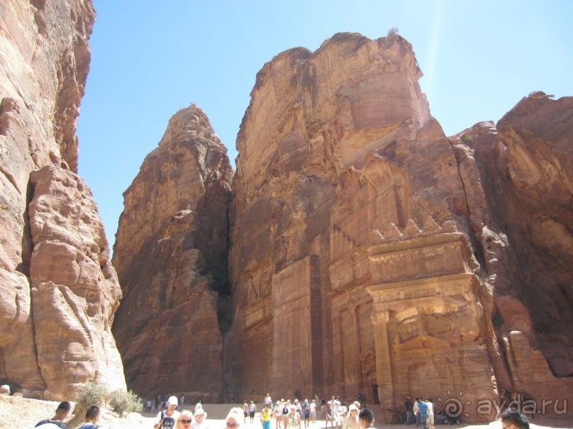 Мёртвый живой камень