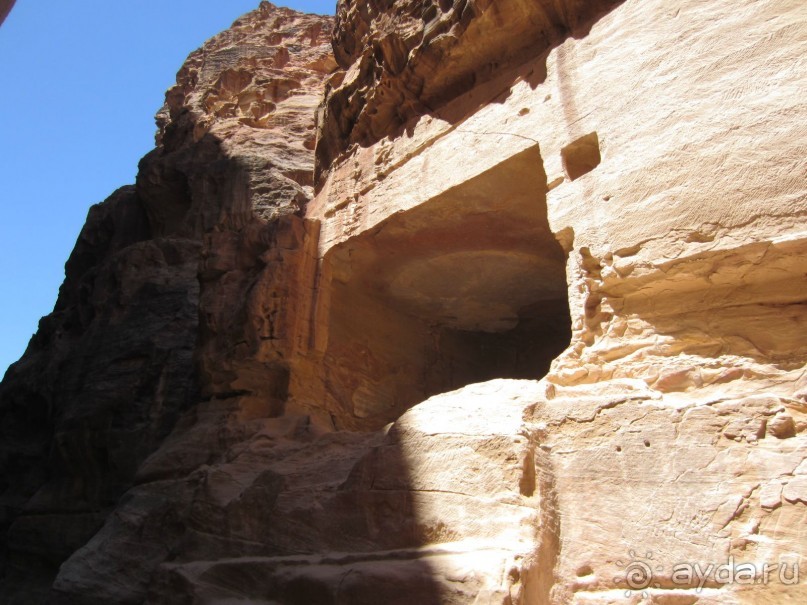 Мёртвый живой камень