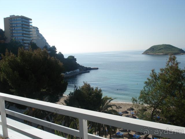 фото Урожай