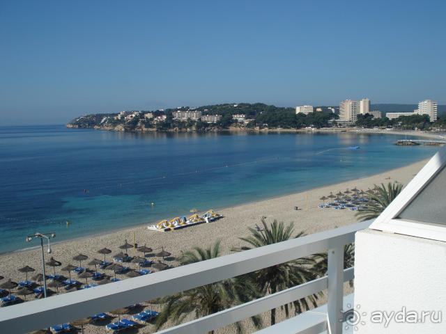 фото Урожай