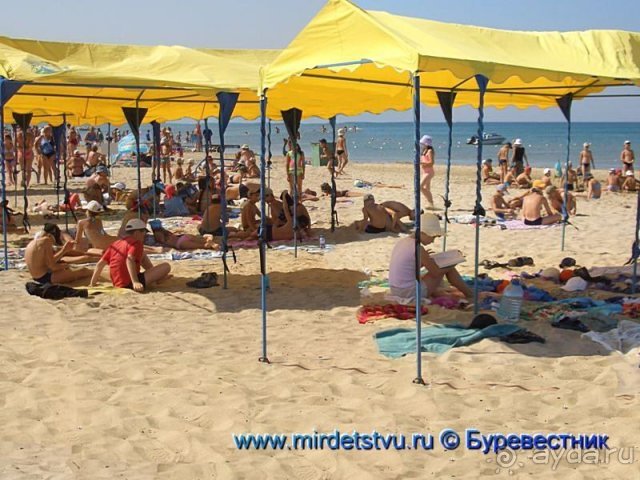 фото Буревестник