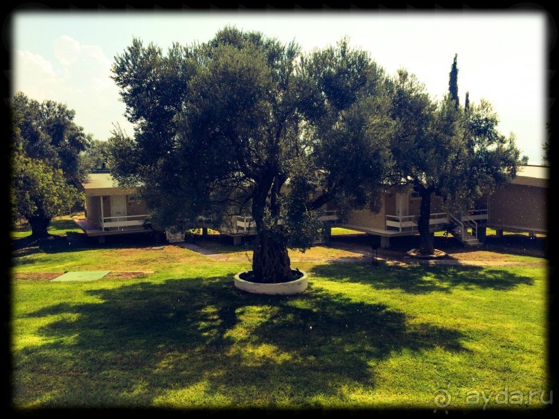 Совковый санаторий!