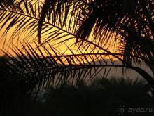 фото Royal Holiday Beach Resort Sharm El Sheikh
