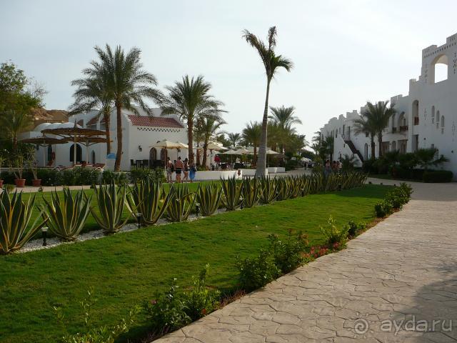 фото Royal Holiday Beach Resort Sharm El Sheikh