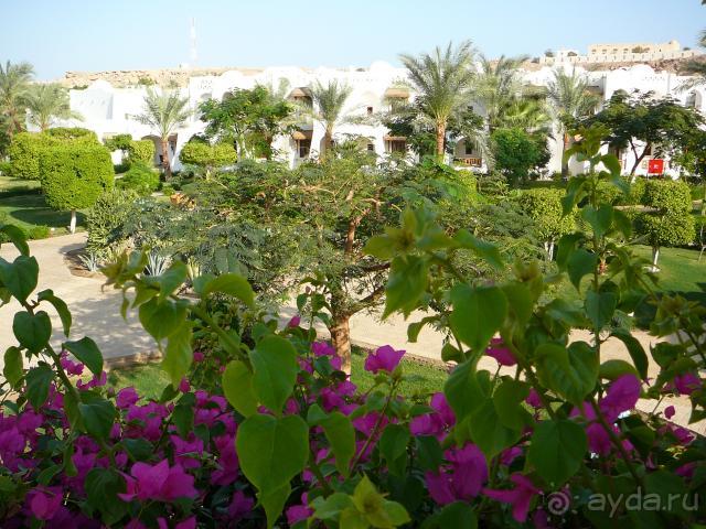 фото Royal Holiday Beach Resort Sharm El Sheikh