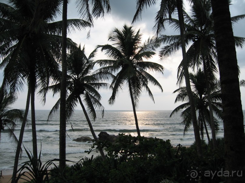 Самый лучший из имеющихся Ланкийских отелей