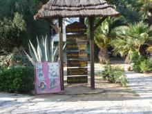 фото JAZ Tour Khalef