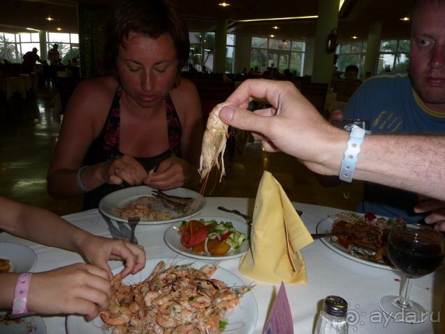 фото JAZ Tour Khalef