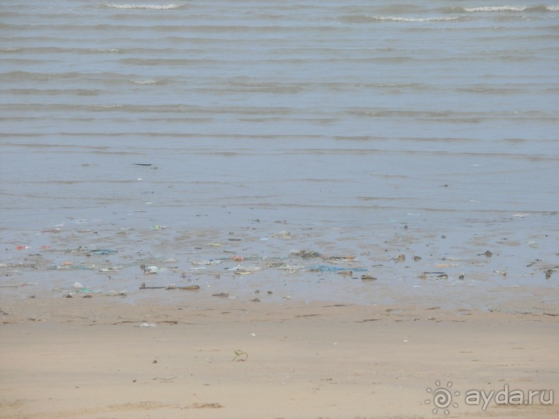 пляж botany beach