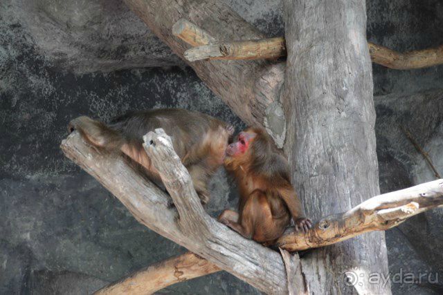 Тайланд, Патайя ноябрь 2012