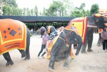 Тайланд, Патайя ноябрь 2012