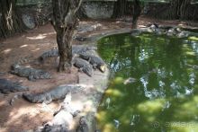 Тайланд, Патайя ноябрь 2012