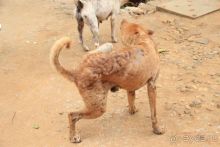 Тайланд, Патайя ноябрь 2012