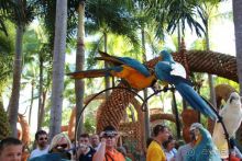 Тайланд, Патайя ноябрь 2012