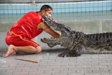 Тайланд, Патайя ноябрь 2012