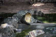 Тайланд, Патайя ноябрь 2012