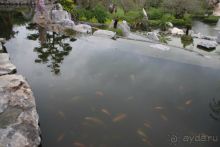 Тайланд, Патайя ноябрь 2012