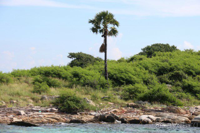 Тайланд, Патайя ноябрь 2012