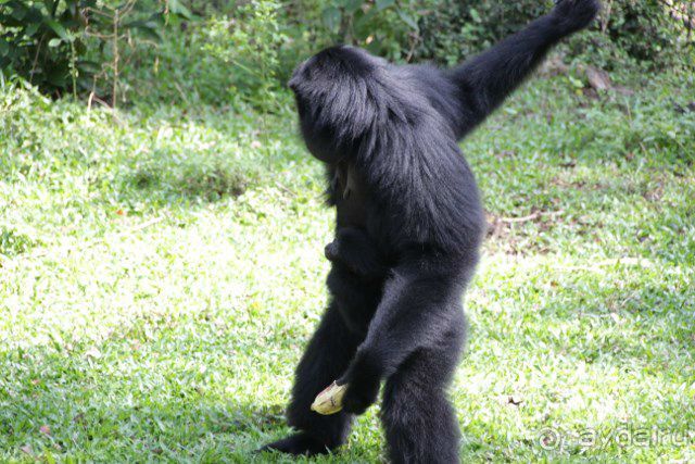 Тайланд, Патайя ноябрь 2012