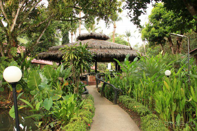 Тайланд, Патайя ноябрь 2012