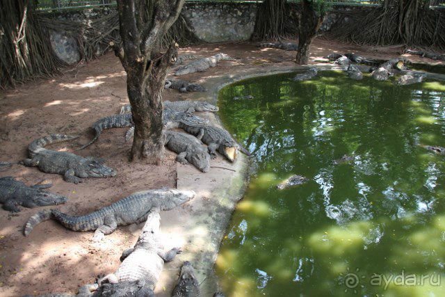 Тайланд, Патайя ноябрь 2012