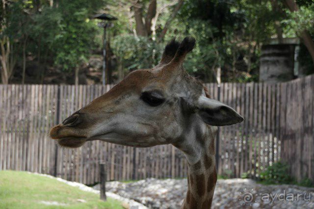 Тайланд, Патайя ноябрь 2012