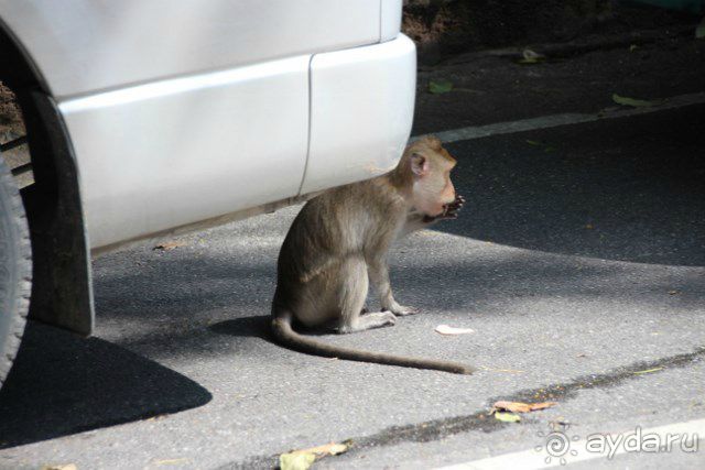 Тайланд, Патайя ноябрь 2012
