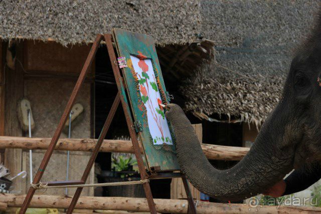 Тайланд, Патайя ноябрь 2012