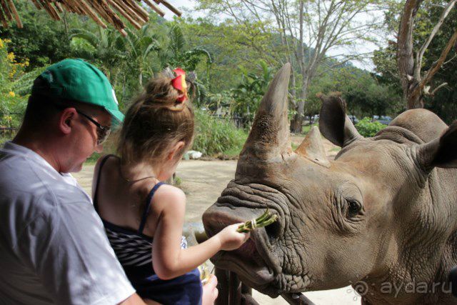 Тайланд, Патайя ноябрь 2012