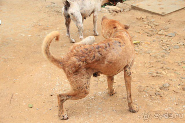Тайланд, Патайя ноябрь 2012