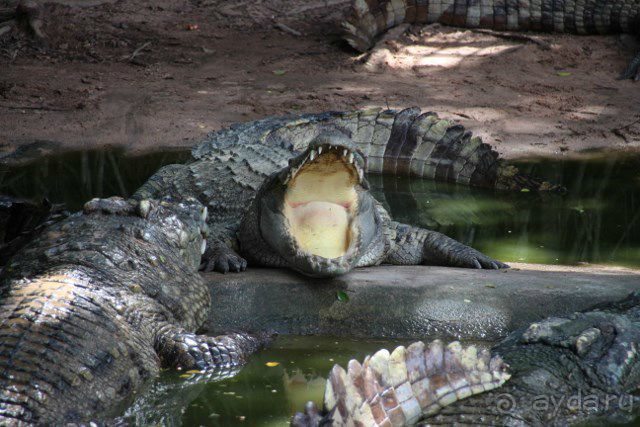 Тайланд, Патайя ноябрь 2012