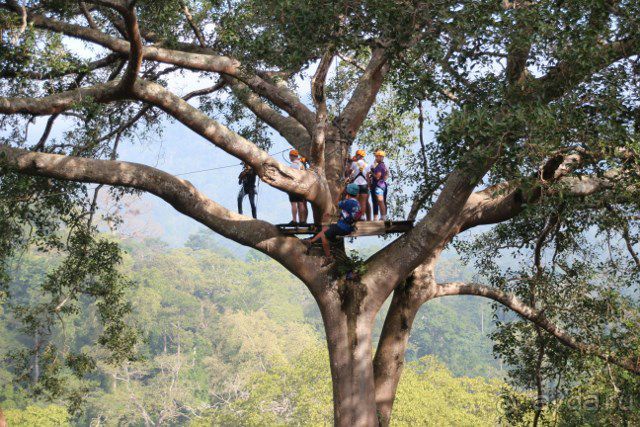 Тайланд, Патайя ноябрь 2012