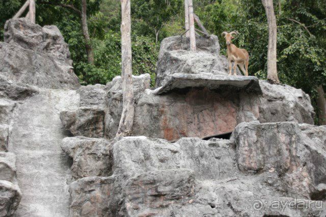 Тайланд, Патайя ноябрь 2012